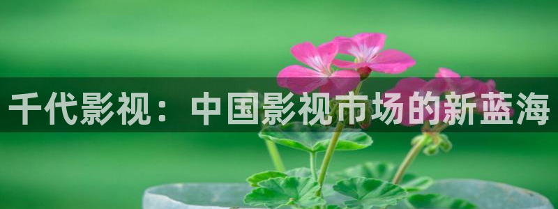 琪琪影院原网站：千代影视：中国影视市场的新蓝海