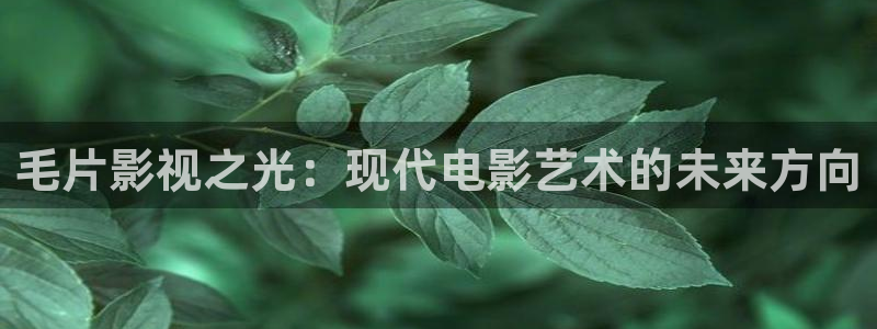 琪琪电影吧：毛片影视之光：现代电影艺术的未来方向