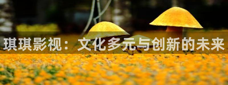 琪琪影视电视剧免费看：琪琪影视：文化多元与创新的未来