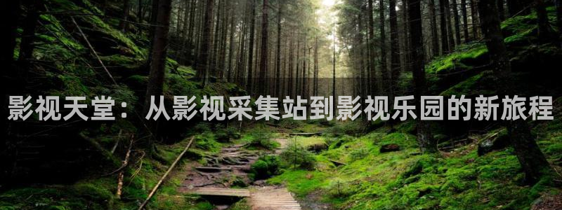 琪琪在线影视：影视天堂：从影视采集站到影视乐园的新旅程
