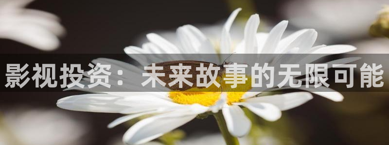 琪琪影视伦理：影视投资：未来故事的无限可能