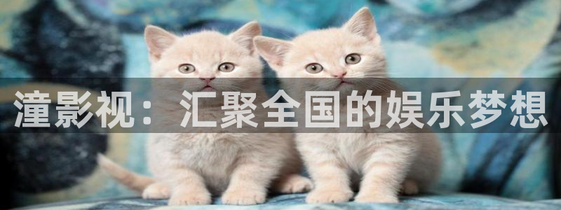 琪琪久久影院