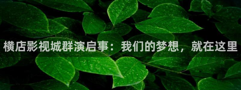 琪琪2017影院