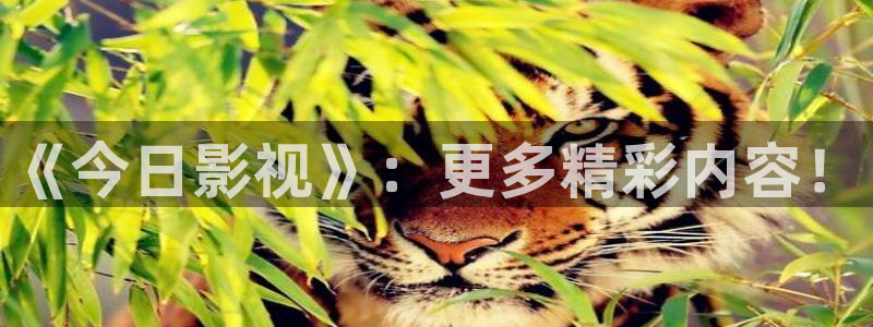 神马影院琪琪
